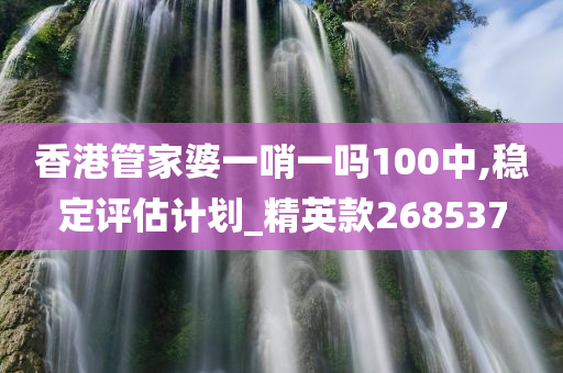 香港管家婆一哨一吗100中,稳定评估计划_精英款268537