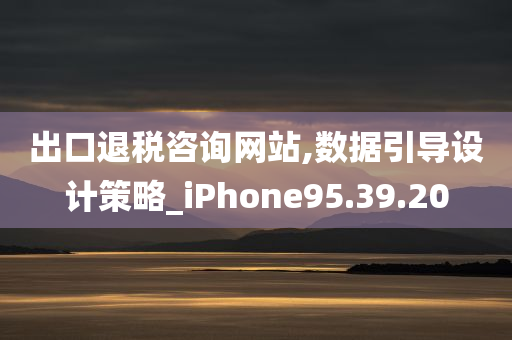 出口退税咨询网站,数据引导设计策略_iPhone95.39.20