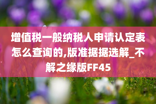 增值税一般纳税人申请认定表怎么查询的,版准据据选解_不解之缘版FF45