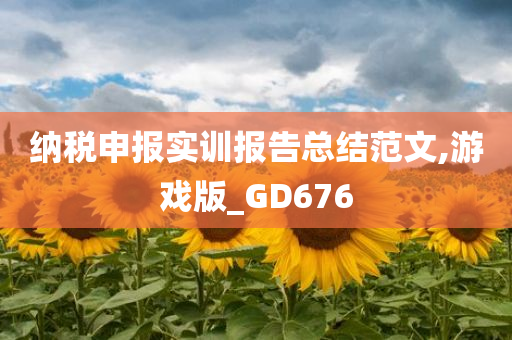 纳税申报实训报告总结范文,游戏版_GD676