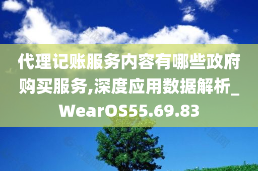 代理记账服务内容有哪些政府购买服务,深度应用数据解析_WearOS55.69.83