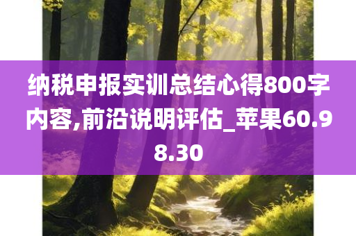 纳税申报实训总结心得800字内容,前沿说明评估_苹果60.98.30