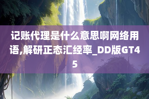 记账代理是什么意思啊网络用语,解研正态汇经率_DD版GT45