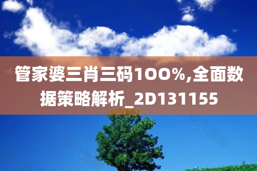 管家婆三肖三码1OO%,全面数据策略解析_2D131155