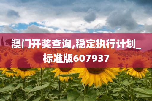 澳门开奖查询,稳定执行计划_标准版607937