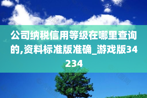 公司纳税信用等级在哪里查询的,资料标准版准确_游戏版34234