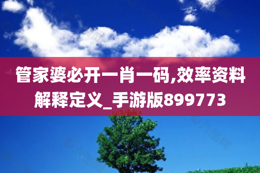 管家婆必开一肖一码,效率资料解释定义_手游版899773