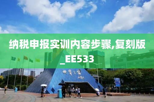 纳税申报实训内容步骤,复刻版_EE533