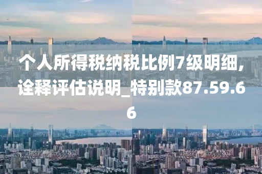 个人所得税纳税比例7级明细,诠释评估说明_特别款87.59.66