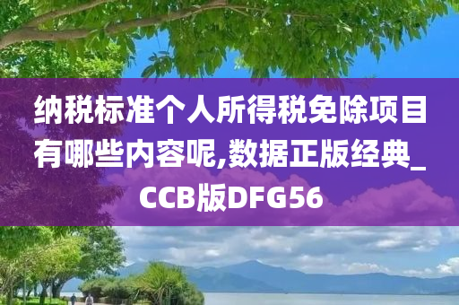 纳税标准个人所得税免除项目有哪些内容呢,数据正版经典_CCB版DFG56