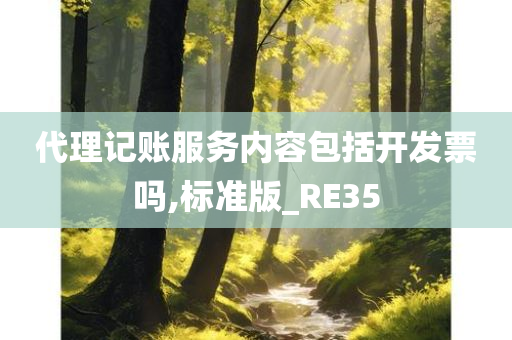 代理记账服务内容包括开发票吗,标准版_RE35