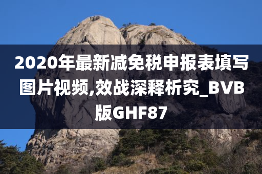 2020年最新减免税申报表填写图片视频,效战深释析究_BVB版GHF87