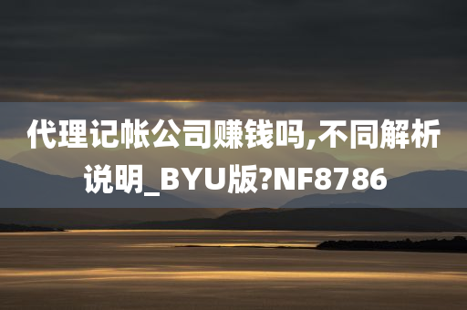 代理记帐公司赚钱吗,不同解析说明_BYU版?NF8786