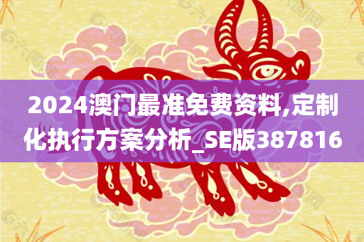 2024澳门最准免费资料,定制化执行方案分析_SE版387816