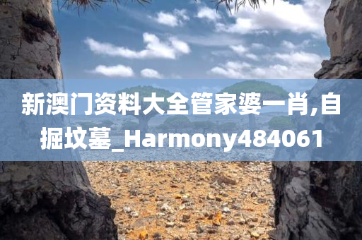 新澳门资料大全管家婆一肖,自掘坟墓_Harmony484061