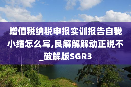 增值税纳税申报实训报告自我小结怎么写,良解解解动正说不_破解版SGR3