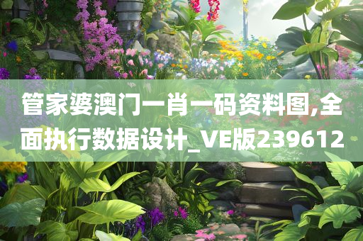 管家婆澳门一肖一码资料图,全面执行数据设计_VE版239612