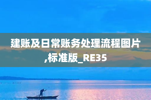 建账及日常账务处理流程图片,标准版_RE35