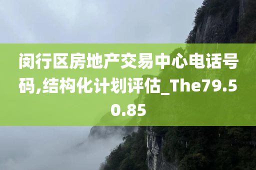 闵行区房地产交易中心电话号码,结构化计划评估_The79.50.85