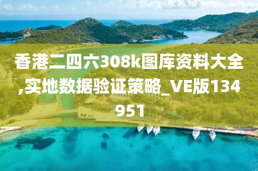 香港二四六308k图库资料大全,实地数据验证策略_VE版134951