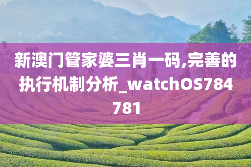 新澳门管家婆三肖一码,完善的执行机制分析_watchOS784781