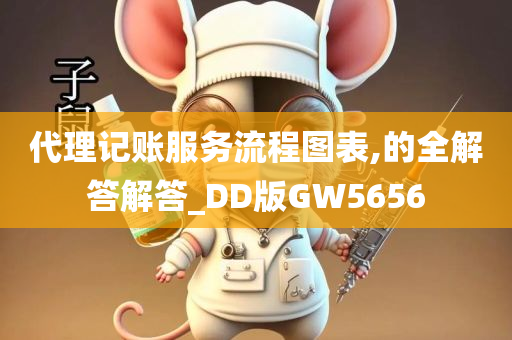 代理记账服务流程图表,的全解答解答_DD版GW5656