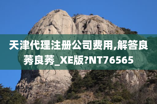 天津代理注册公司费用,解答良莠良莠_XE版?NT76565