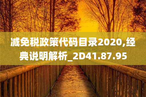 减免税政策代码目录2020,经典说明解析_2D41.87.95