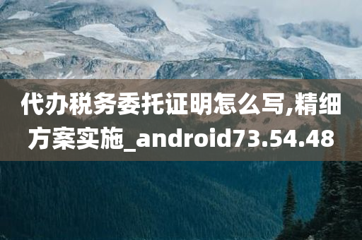 代办税务委托证明怎么写,精细方案实施_android73.54.48