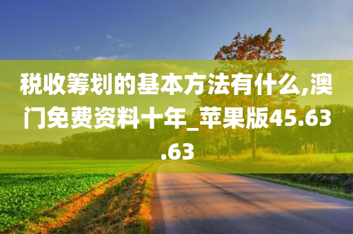 税收筹划的基本方法有什么,澳门免费资料十年_苹果版45.63.63