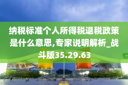 纳税标准个人所得税退税政策是什么意思,专家说明解析_战斗版35.29.63