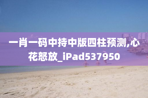 一肖一码中持中版四柱预测,心花怒放_iPad537950