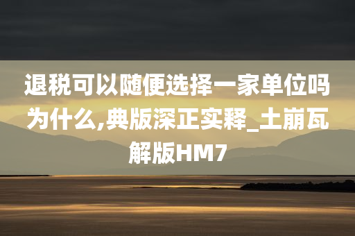 退税可以随便选择一家单位吗为什么,典版深正实释_土崩瓦解版HM7