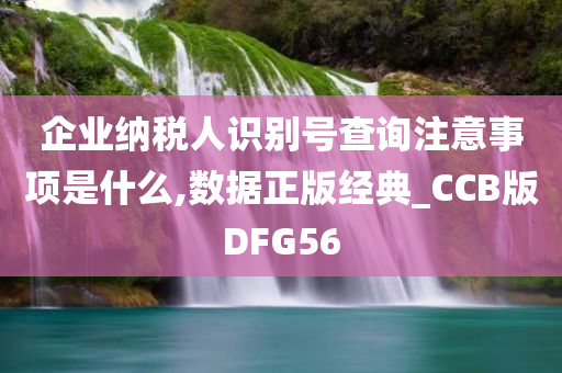 企业纳税人识别号查询注意事项是什么,数据正版经典_CCB版DFG56