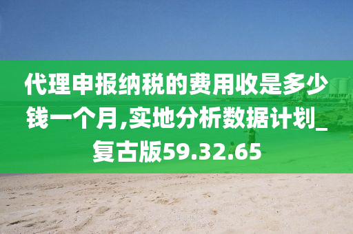 代理申报纳税的费用收是多少钱一个月,实地分析数据计划_复古版59.32.65