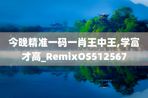 今晚精准一码一肖王中王,学富才高_RemixOS512567