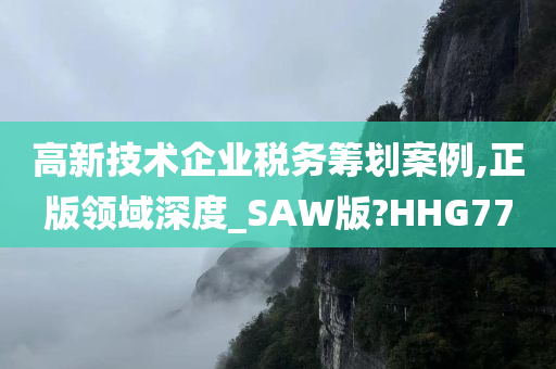 高新技术企业税务筹划案例,正版领域深度_SAW版?HHG77