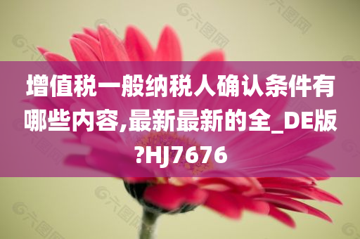 增值税一般纳税人确认条件有哪些内容,最新最新的全_DE版?HJ7676