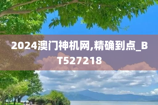 2024澳门神机网,精确到点_BT527218