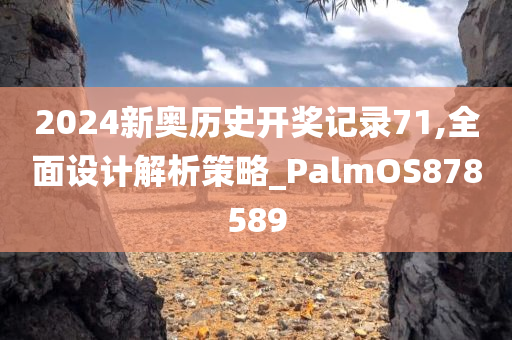 2024新奥历史开奖记录71,全面设计解析策略_PalmOS878589