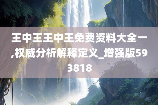 王中王王中王免费资料大全一,权威分析解释定义_增强版593818