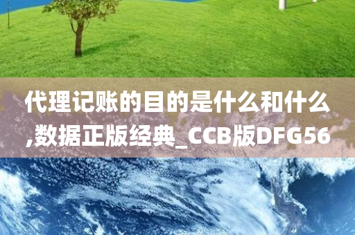 代理记账的目的是什么和什么,数据正版经典_CCB版DFG56