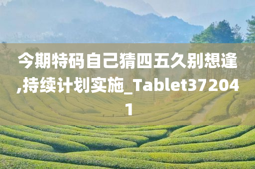 今期特码自己猜四五久别想逢,持续计划实施_Tablet372041