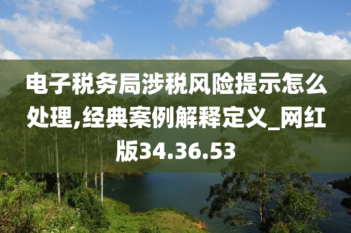 电子税务局涉税风险提示怎么处理,经典案例解释定义_网红版34.36.53