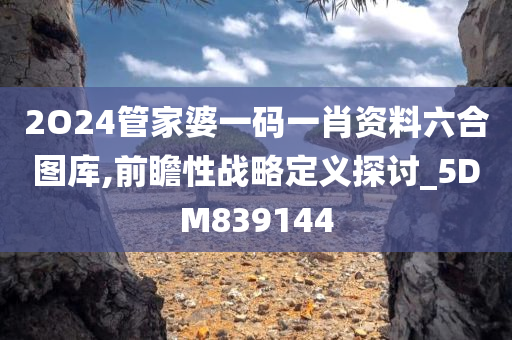 2O24管家婆一码一肖资料六合图库,前瞻性战略定义探讨_5DM839144