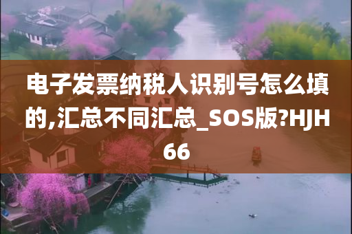 电子发票纳税人识别号怎么填的,汇总不同汇总_SOS版?HJH66