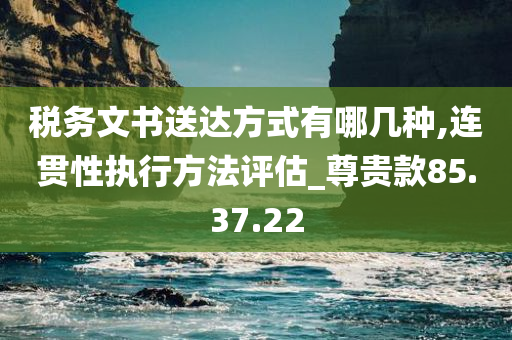 税务文书送达方式有哪几种,连贯性执行方法评估_尊贵款85.37.22