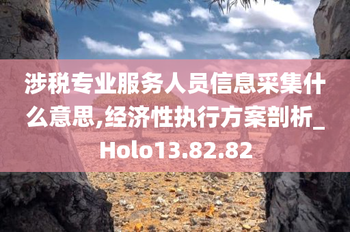 涉税专业服务人员信息采集什么意思,经济性执行方案剖析_Holo13.82.82