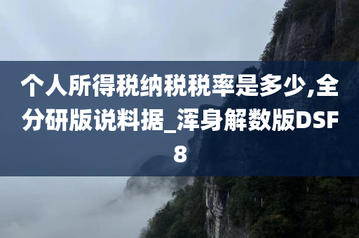 个人所得税纳税税率是多少,全分研版说料据_浑身解数版DSF8