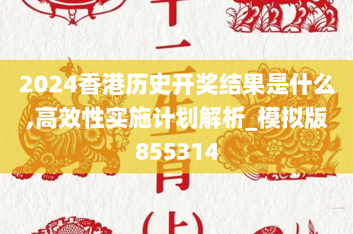 2024香港历史开奖结果是什么,高效性实施计划解析_模拟版855314